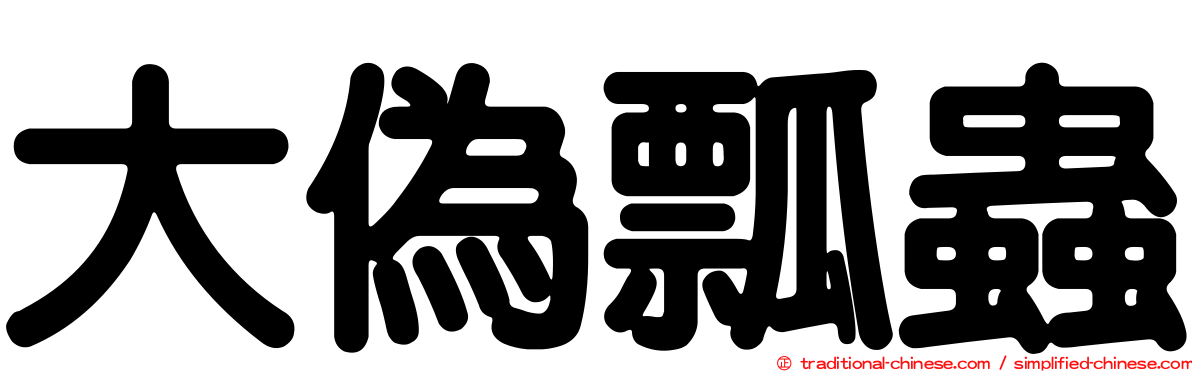 大偽瓢蟲