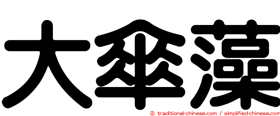 大傘藻