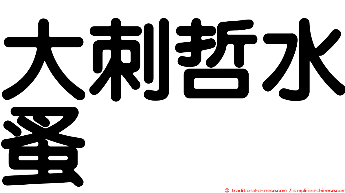大刺哲水蚤
