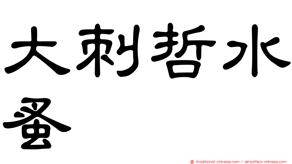 大刺哲水蚤