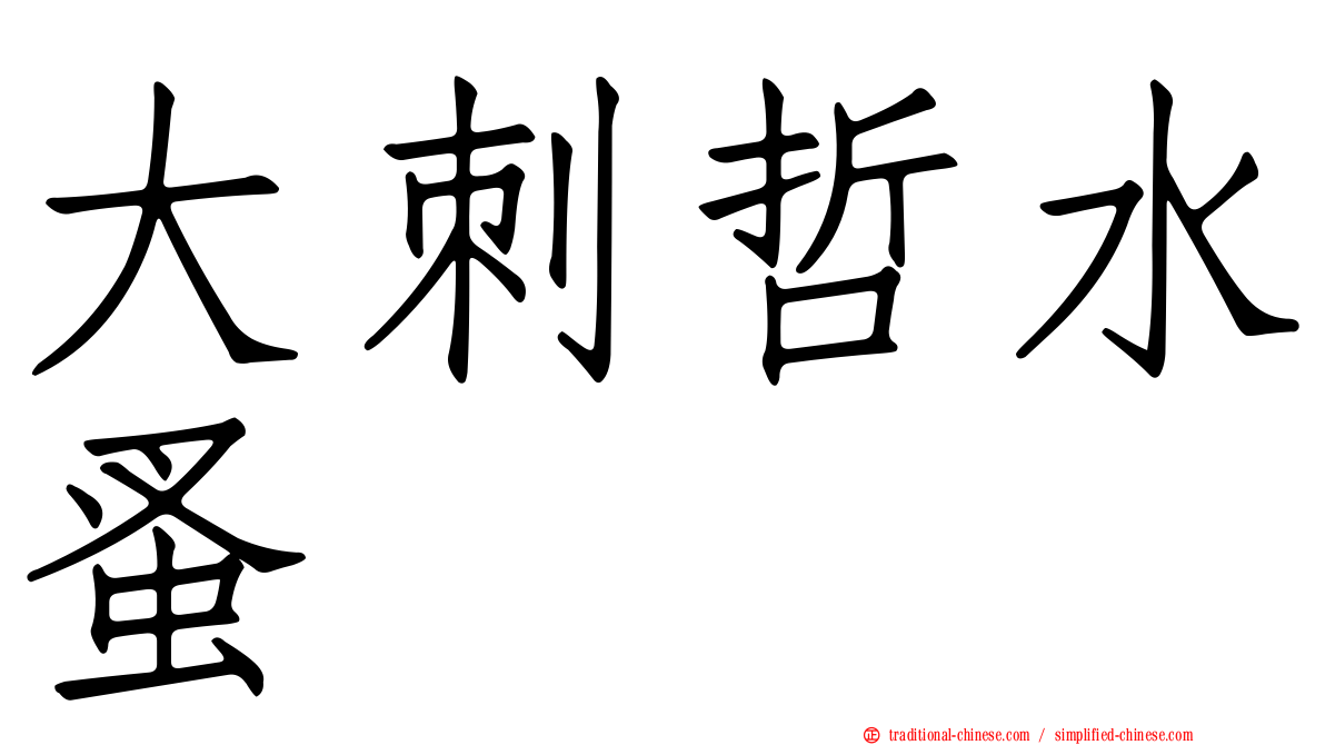 大刺哲水蚤