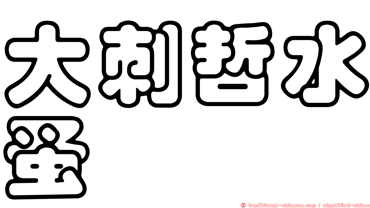大刺哲水蚤