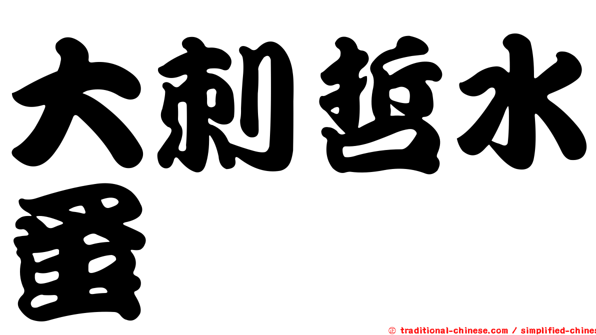 大刺哲水蚤