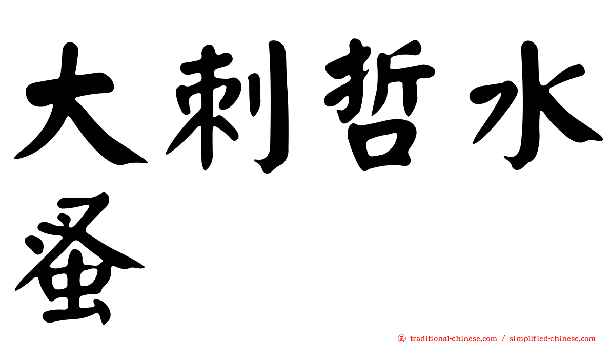 大刺哲水蚤