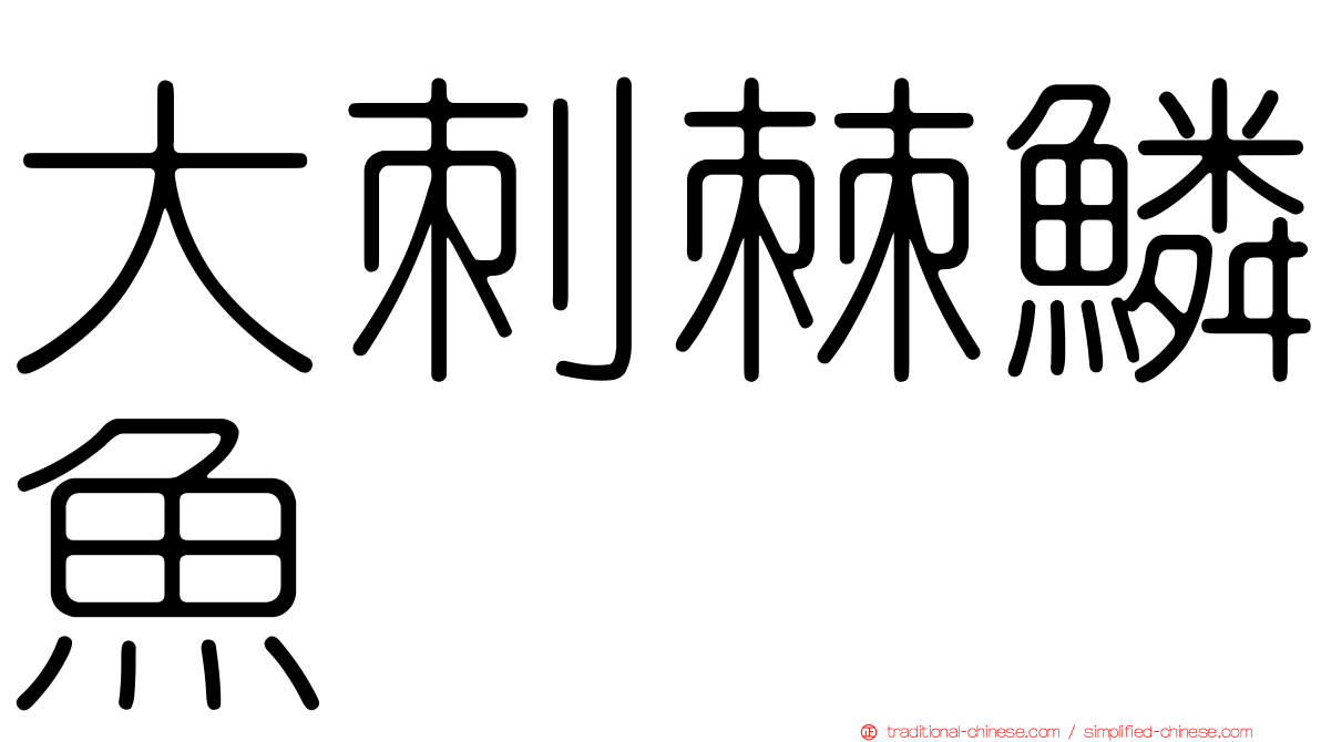 大刺棘鱗魚