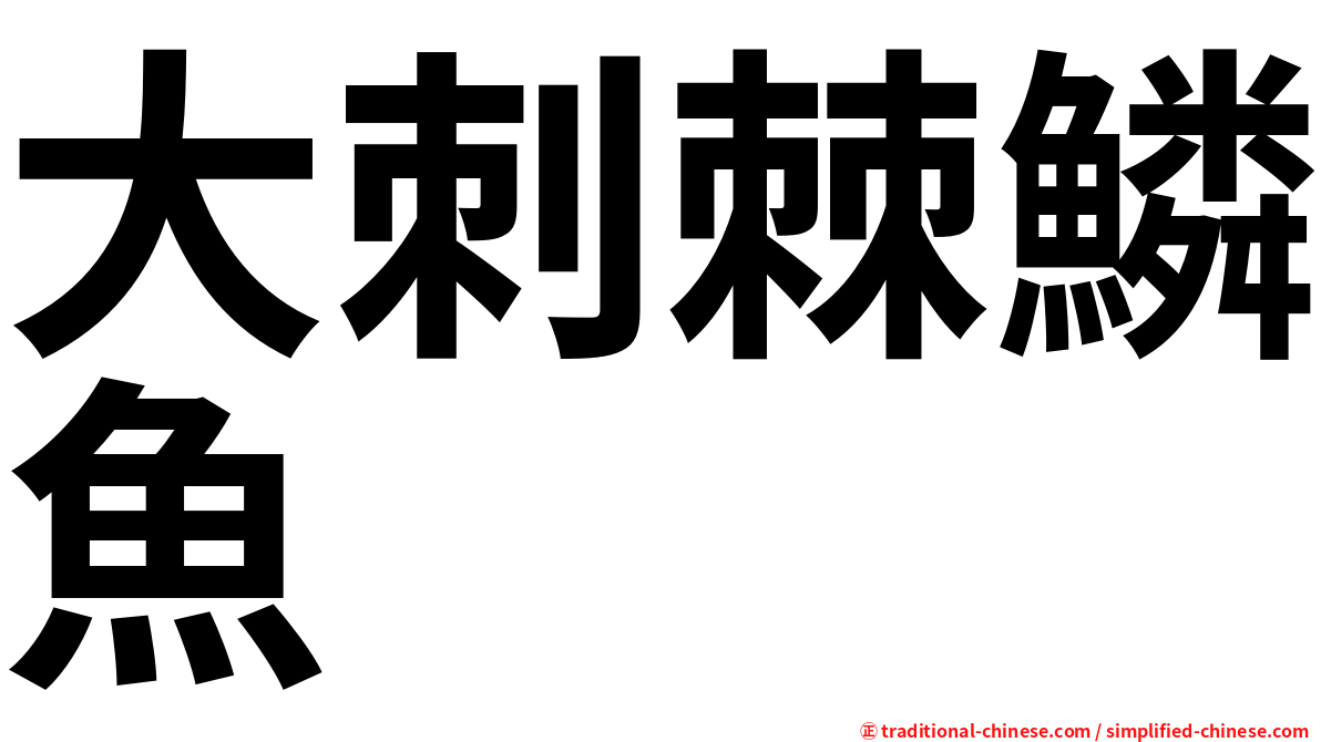 大刺棘鱗魚