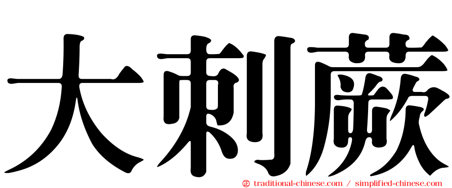 大刺蕨
