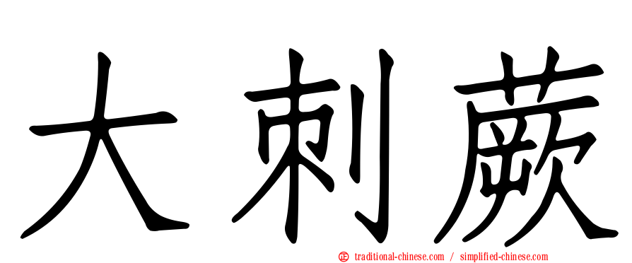大刺蕨