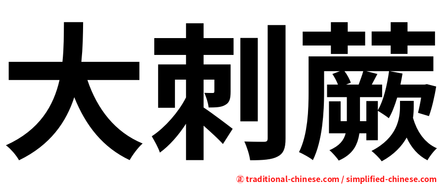 大刺蕨