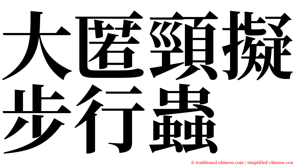 大匿頸擬步行蟲 serif font