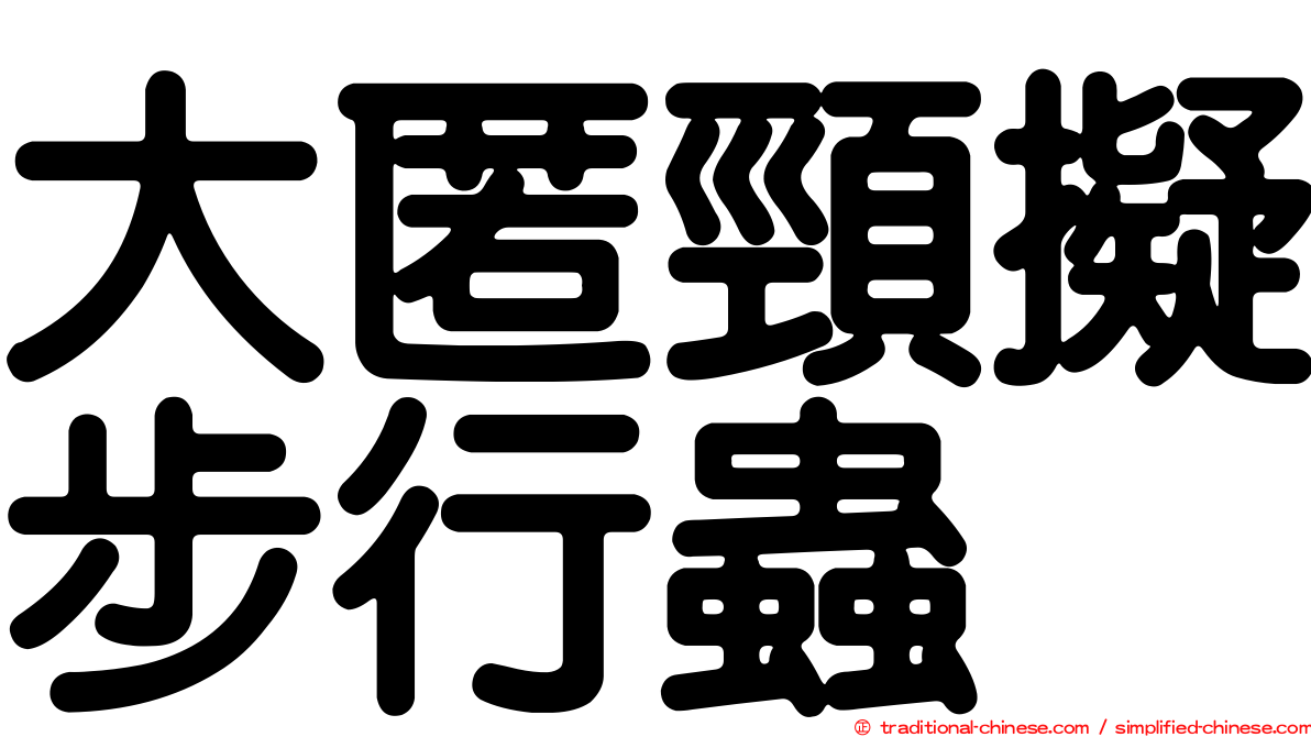 大匿頸擬步行蟲