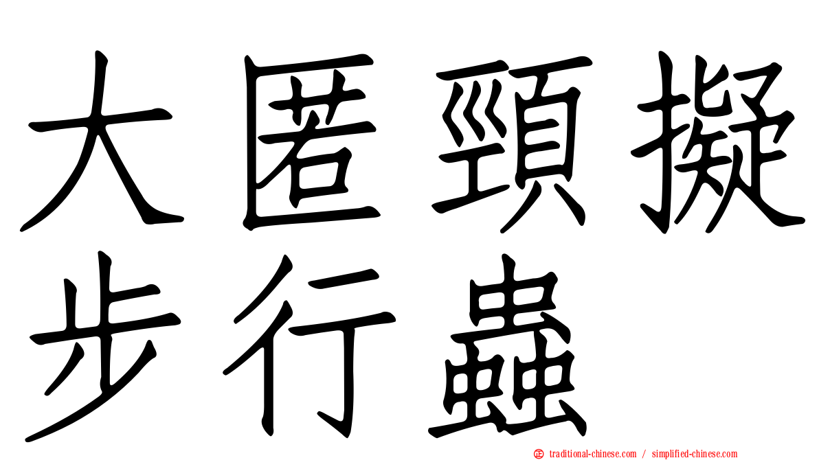 大匿頸擬步行蟲
