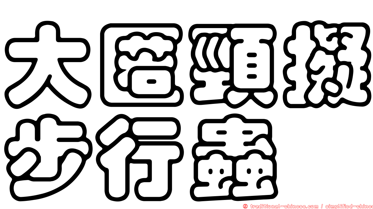 大匿頸擬步行蟲