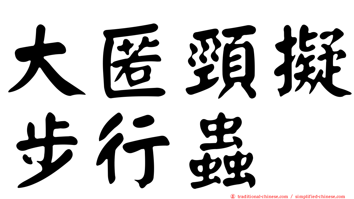 大匿頸擬步行蟲