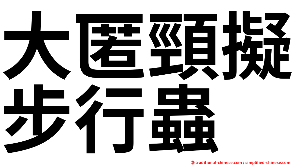 大匿頸擬步行蟲