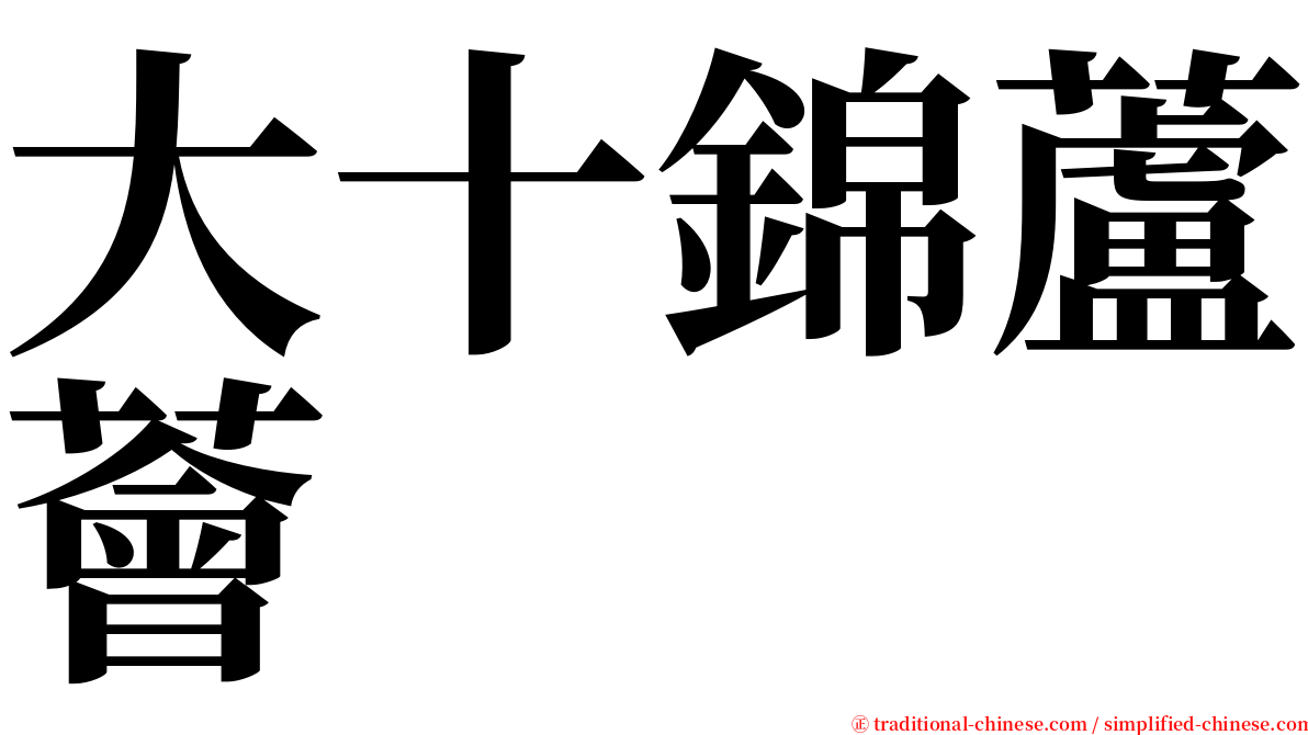 大十錦蘆薈 serif font