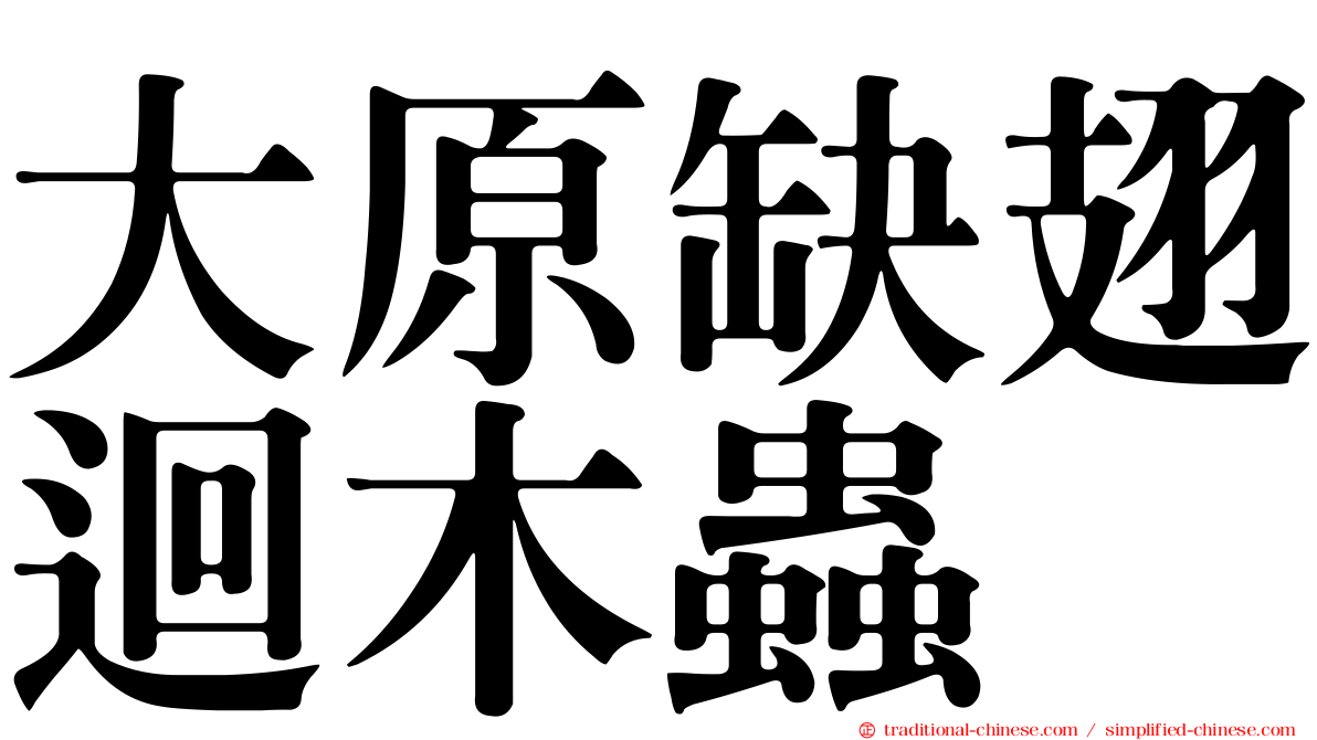 大原缺翅迴木蟲