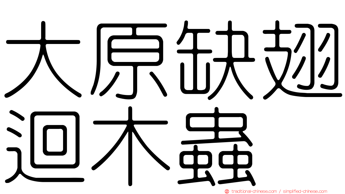 大原缺翅迴木蟲