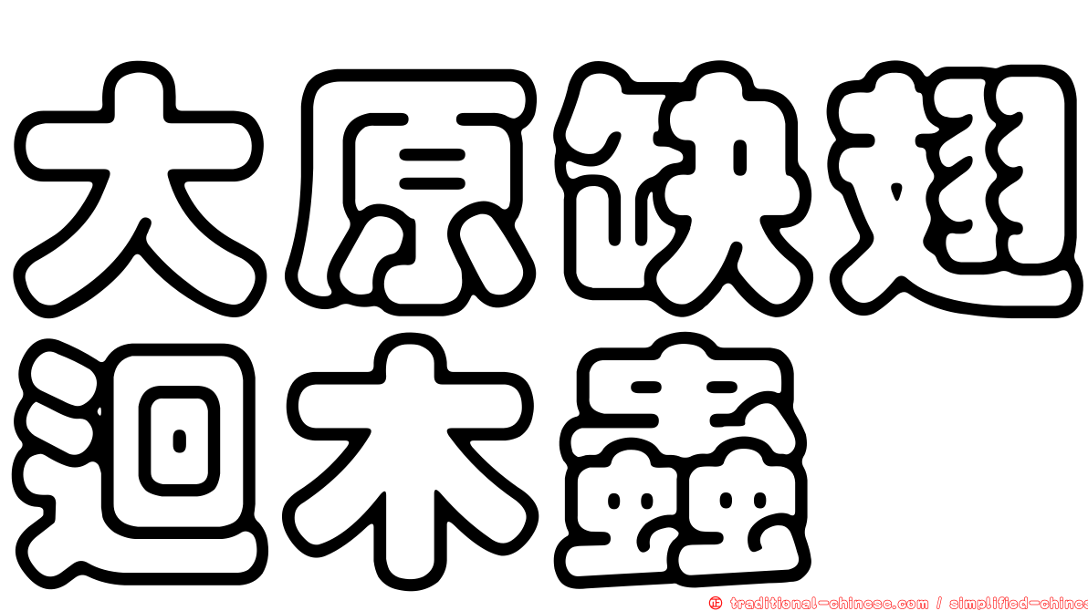 大原缺翅迴木蟲