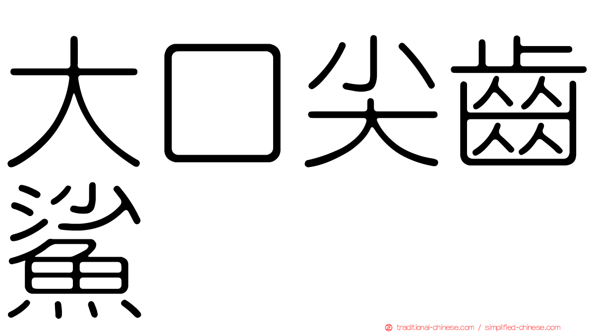 大口尖齒鯊