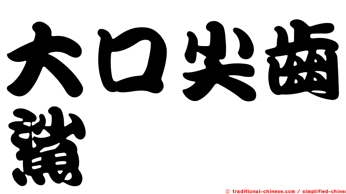 大口尖齒鯊