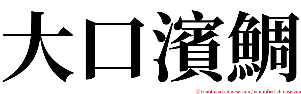 大口濱鯛 serif font