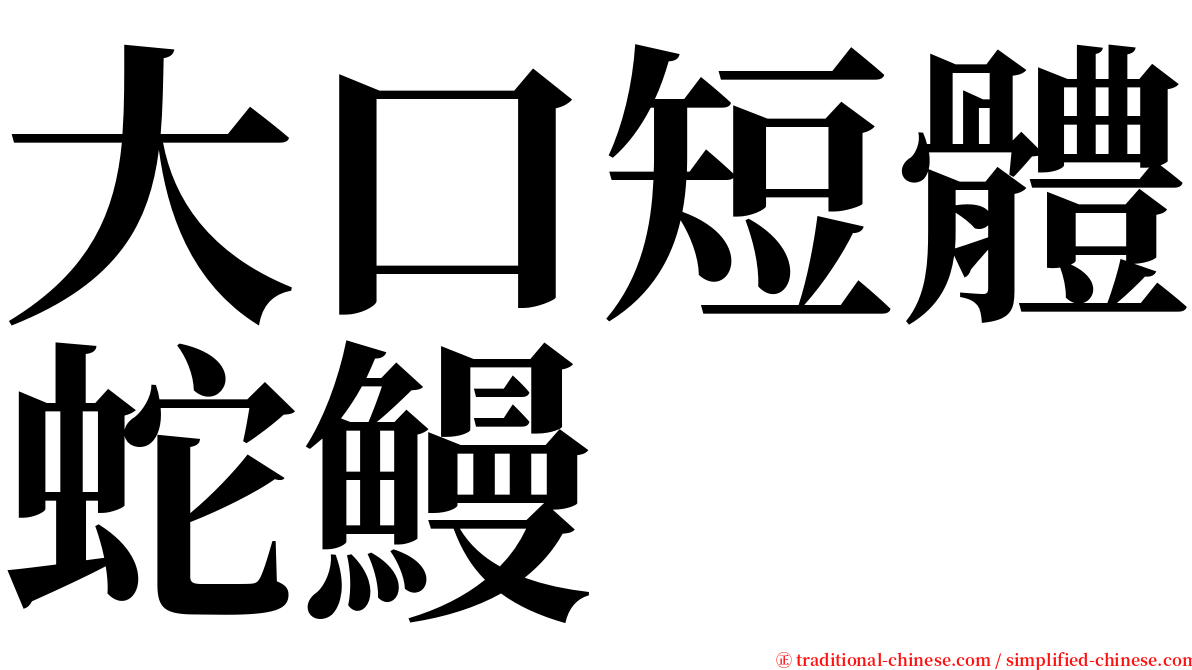 大口短體蛇鰻 serif font
