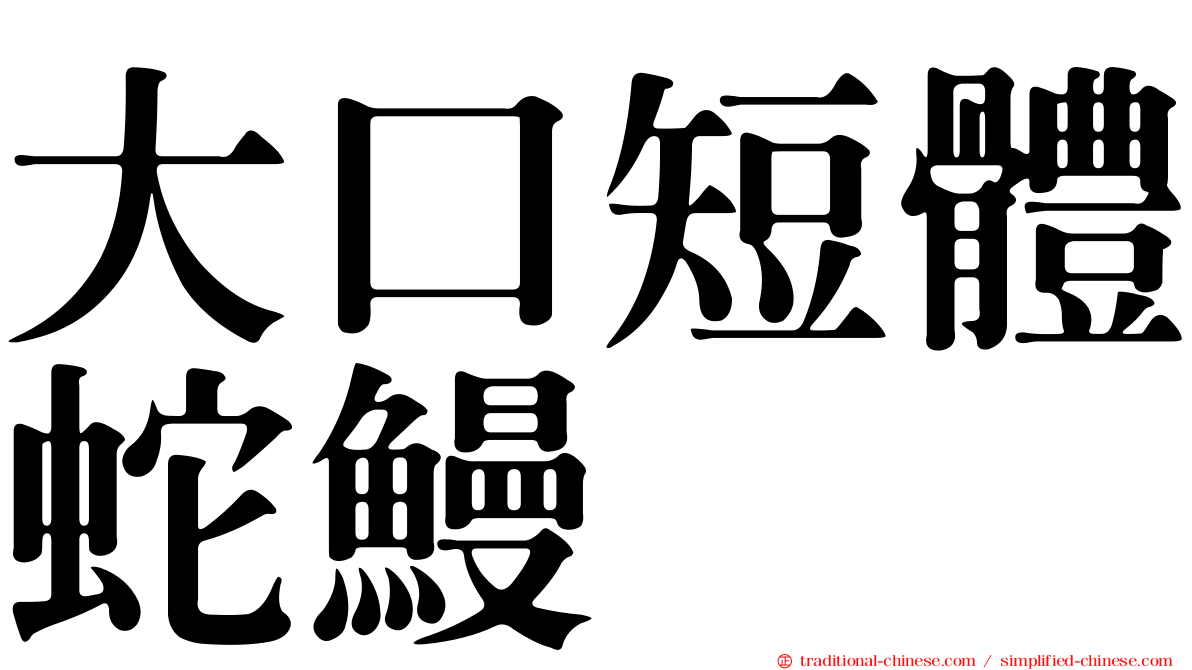 大口短體蛇鰻