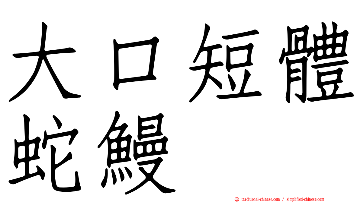大口短體蛇鰻