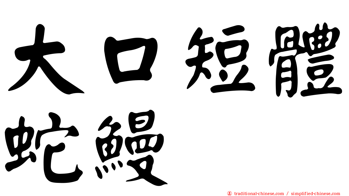 大口短體蛇鰻