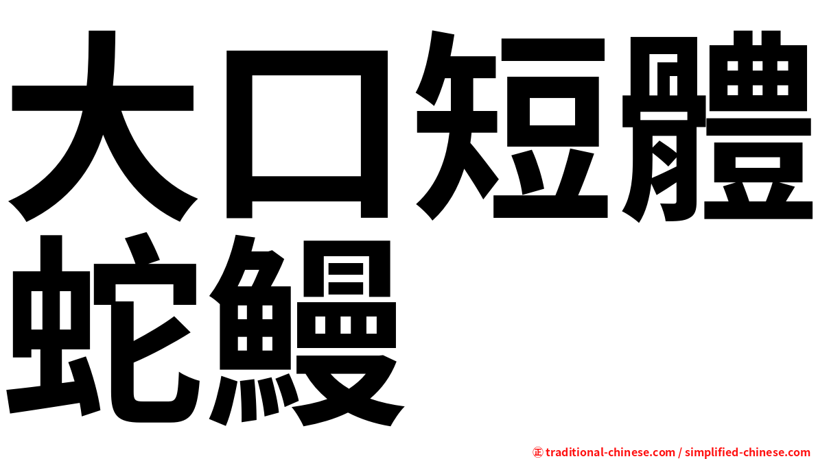 大口短體蛇鰻