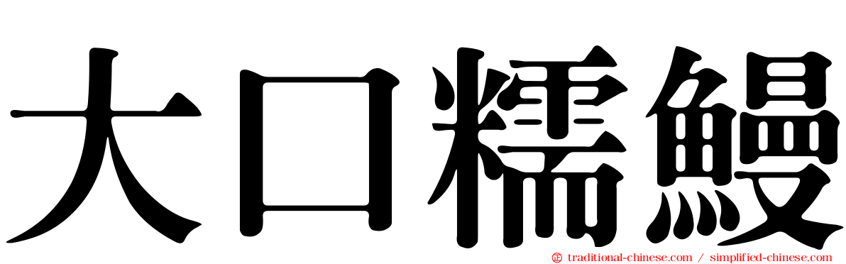 大口糯鰻