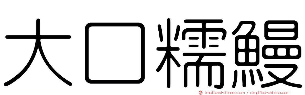 大口糯鰻