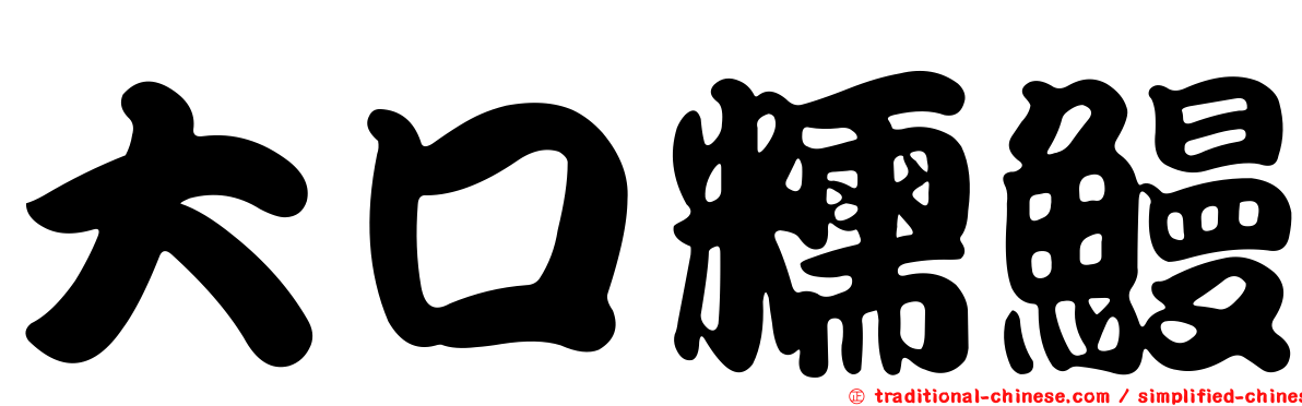 大口糯鰻