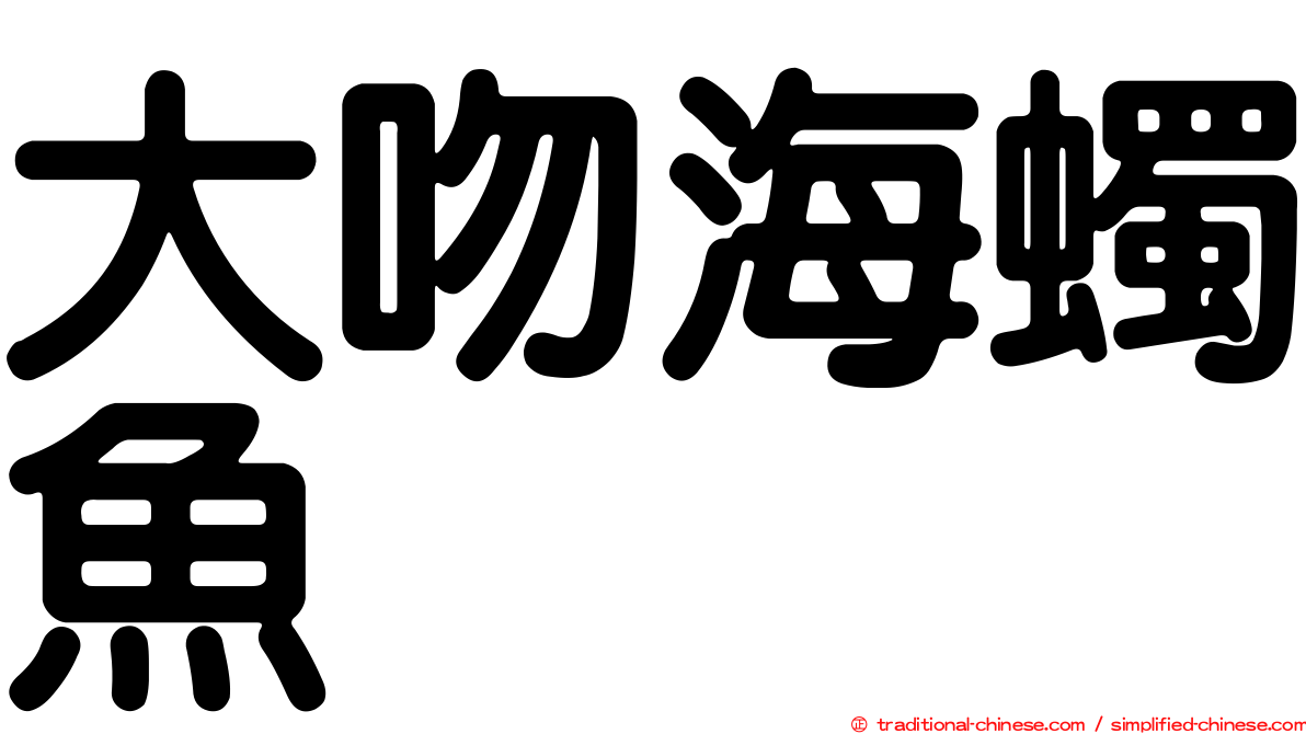 大吻海蠋魚