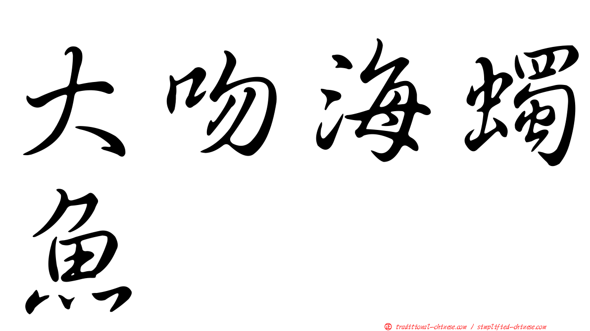 大吻海蠋魚