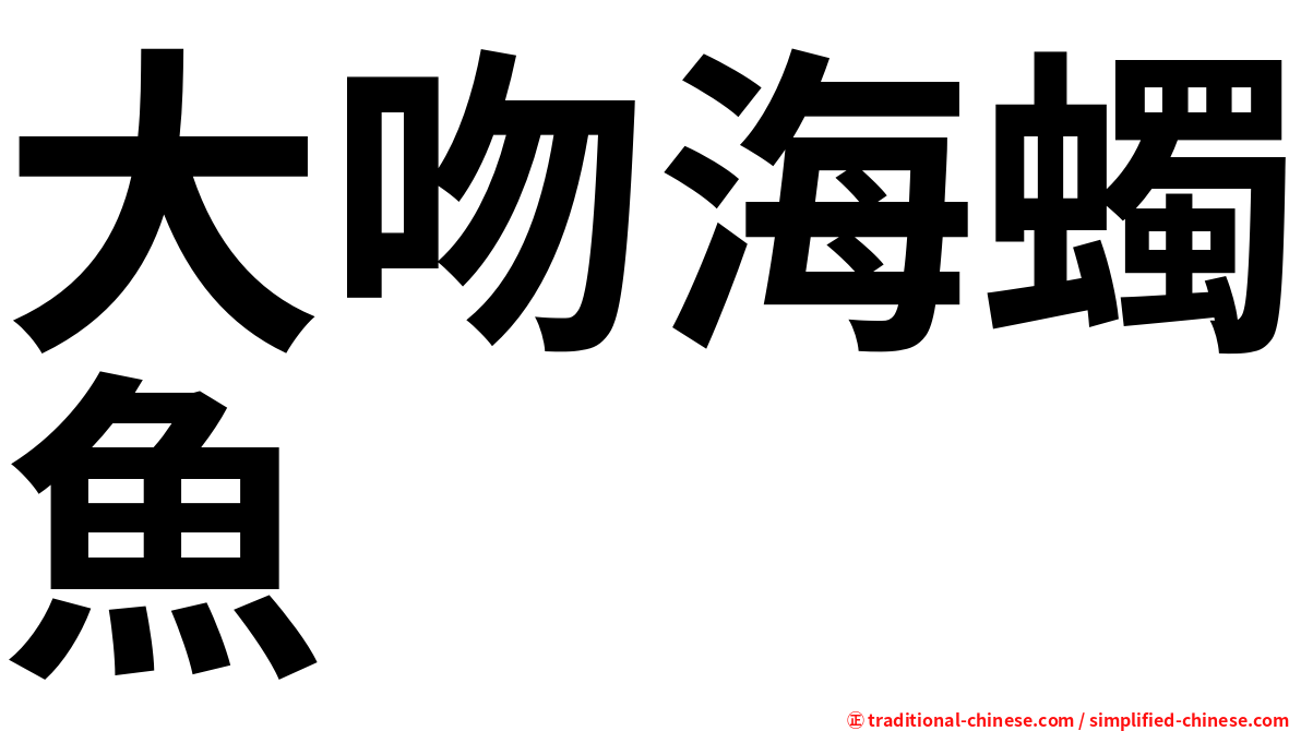 大吻海蠋魚