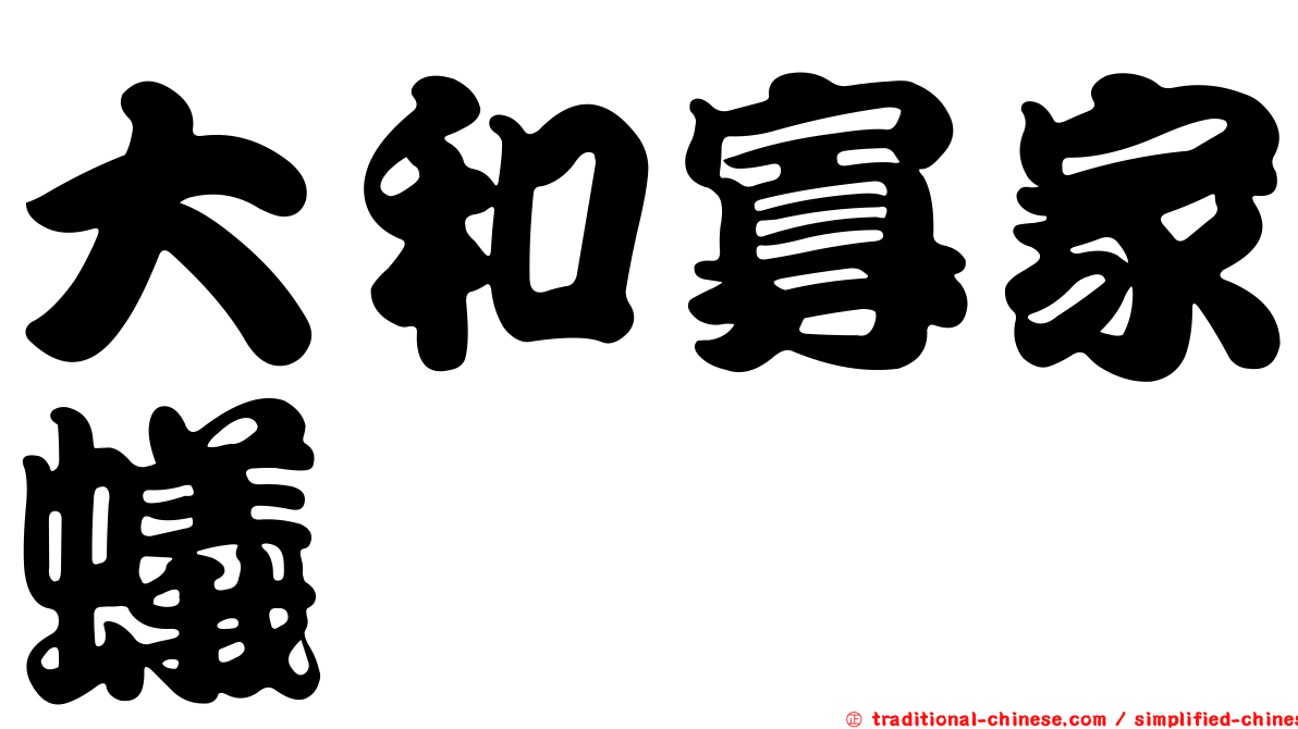 大和寡家蟻