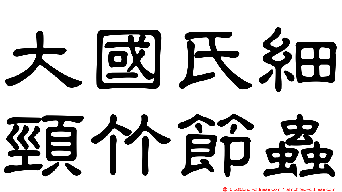 大國氏細頸竹節蟲