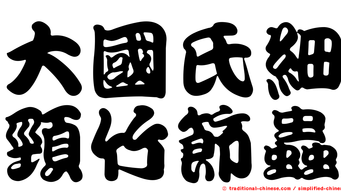 大國氏細頸竹節蟲
