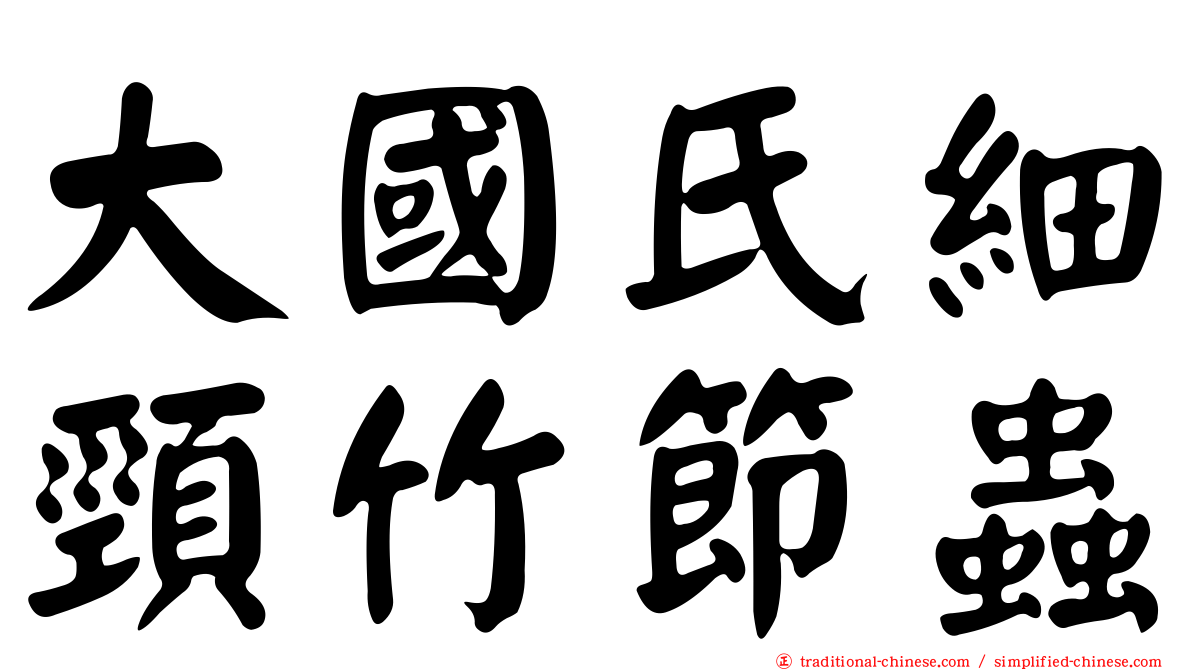 大國氏細頸竹節蟲