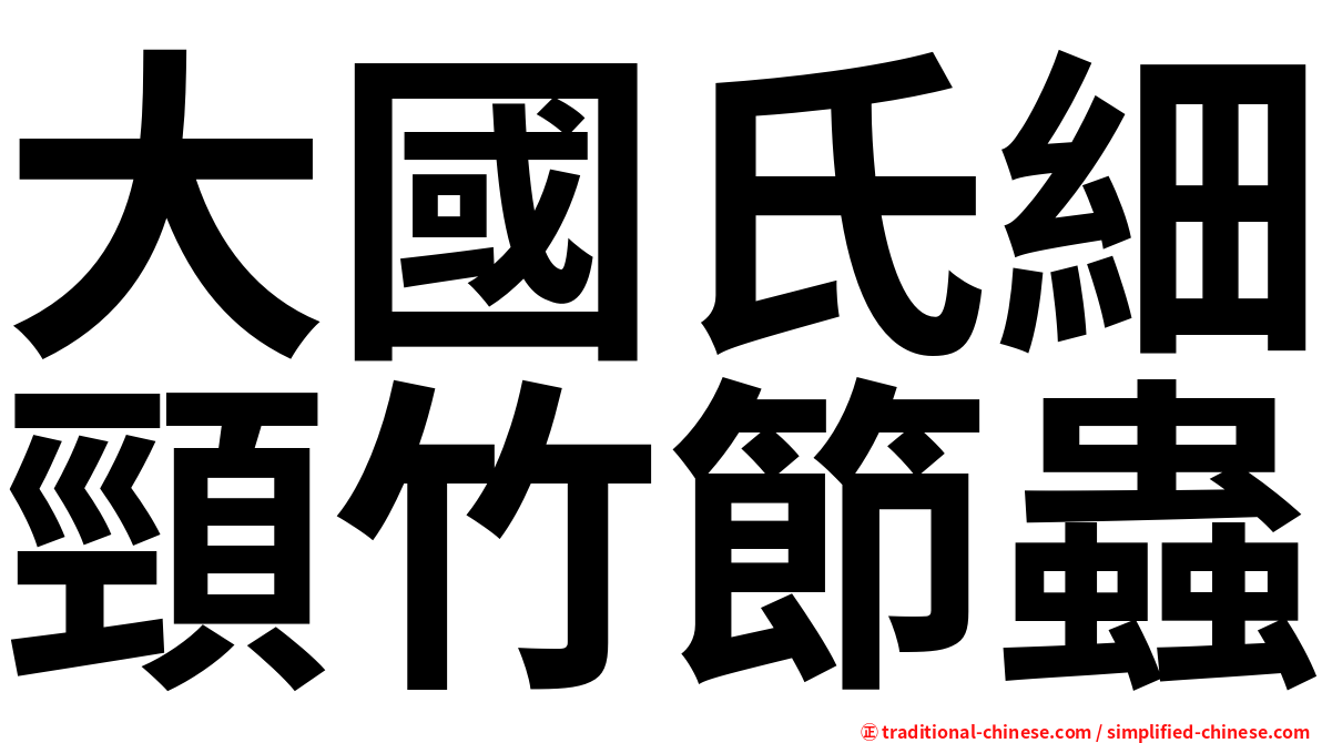 大國氏細頸竹節蟲