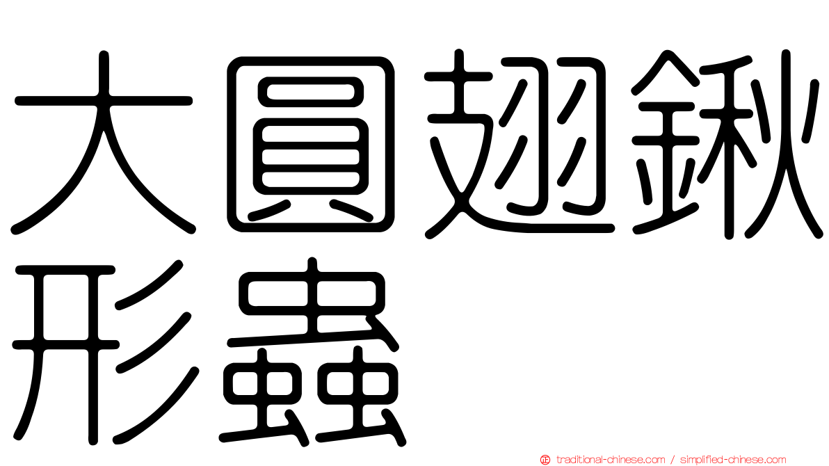 大圓翅鍬形蟲