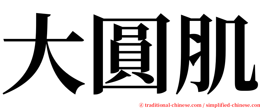 大圓肌 serif font