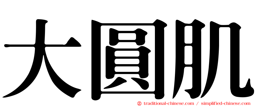 大圓肌