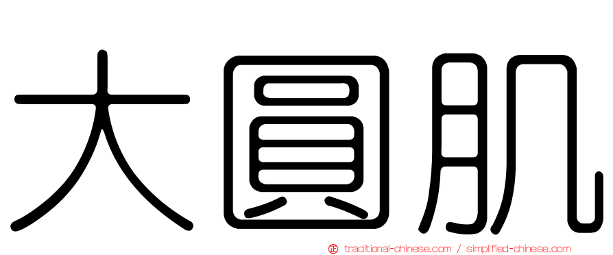 大圓肌