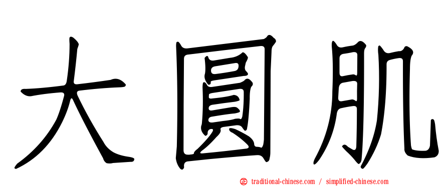 大圓肌