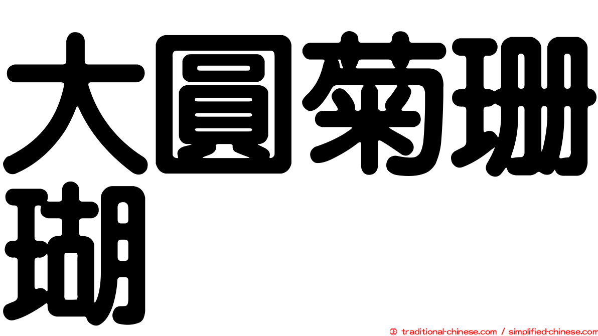 大圓菊珊瑚