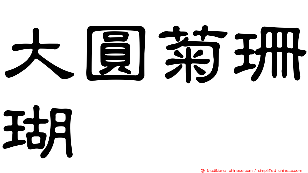 大圓菊珊瑚