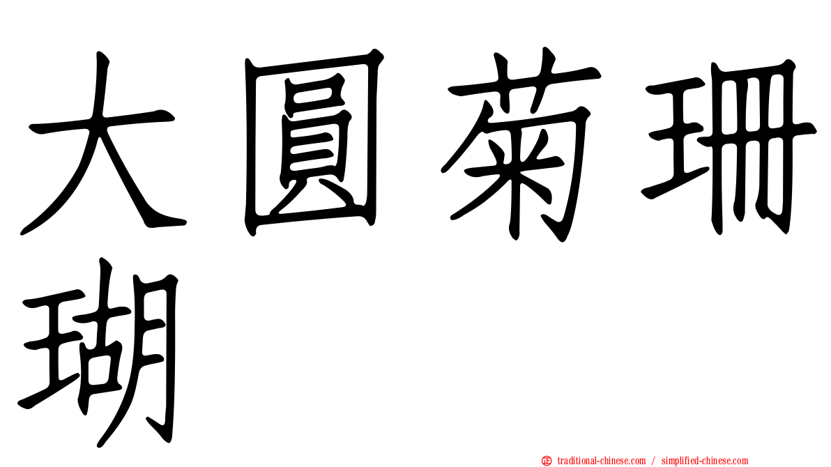大圓菊珊瑚